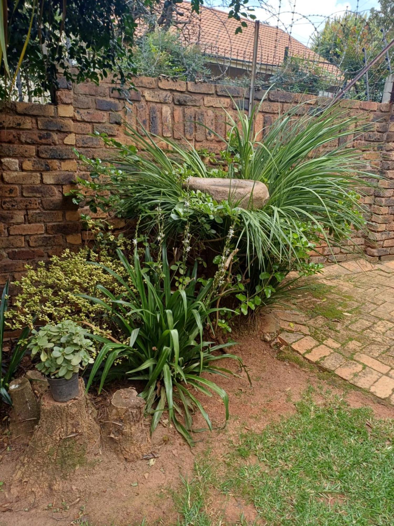 Green Scape Flatlet Pretoria-Noord Exteriér fotografie